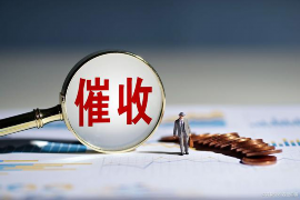 娄烦专业讨债公司有哪些核心服务？